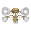 Люстра потолочная 5 плафонов S2454-5